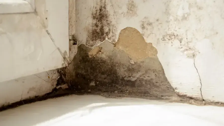 Crawl space dried under a Northern Virginia home