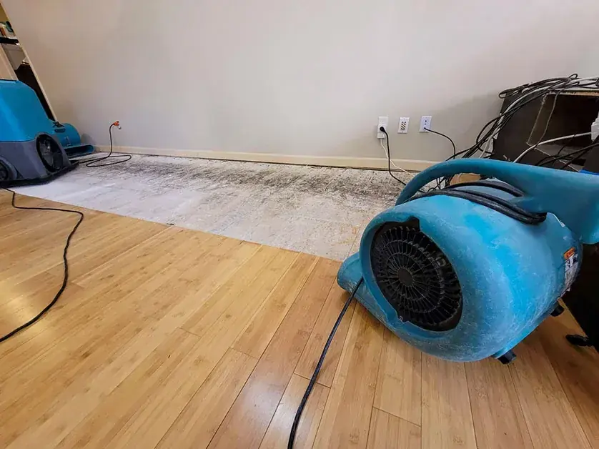 Room dried after a roof leak