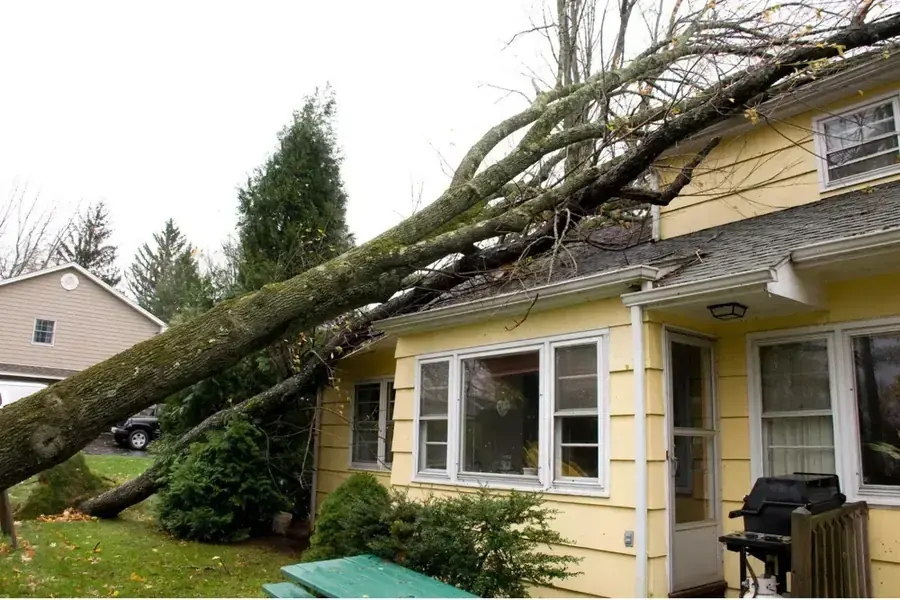 Roof Leak and Storm Water Damage in Alexandria, VA