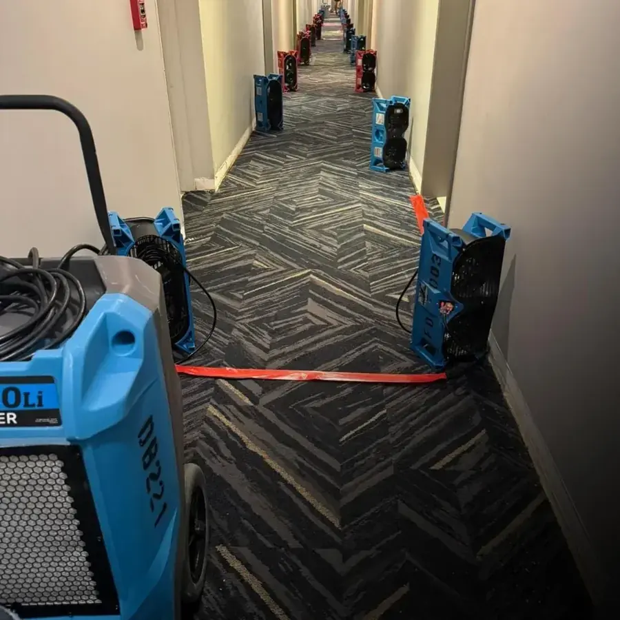 Structural Drying and Dehumidification in Alexandria, VA